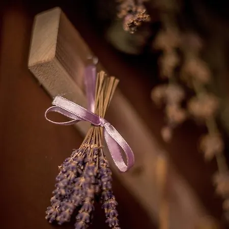 Otel Kavics Klub&hotel 4*